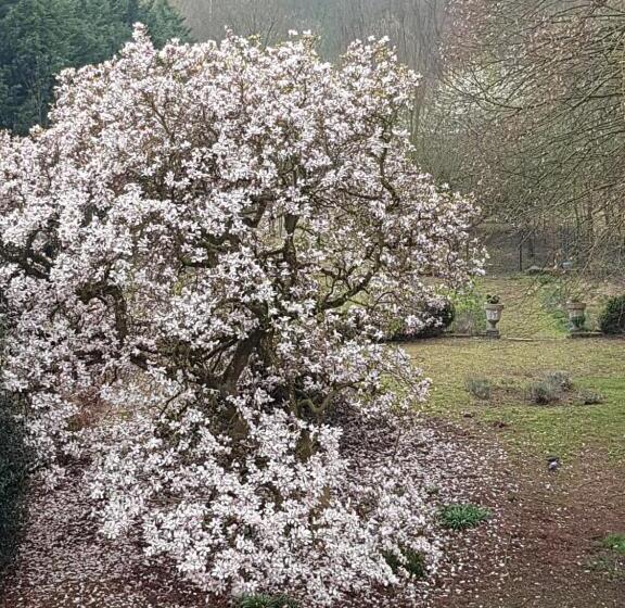 带大床的标准间, Château Lambert Moulinsart Hotel, Shuttle Airport, Long Term Parking, Snooker, Large Terrasse, Dinne