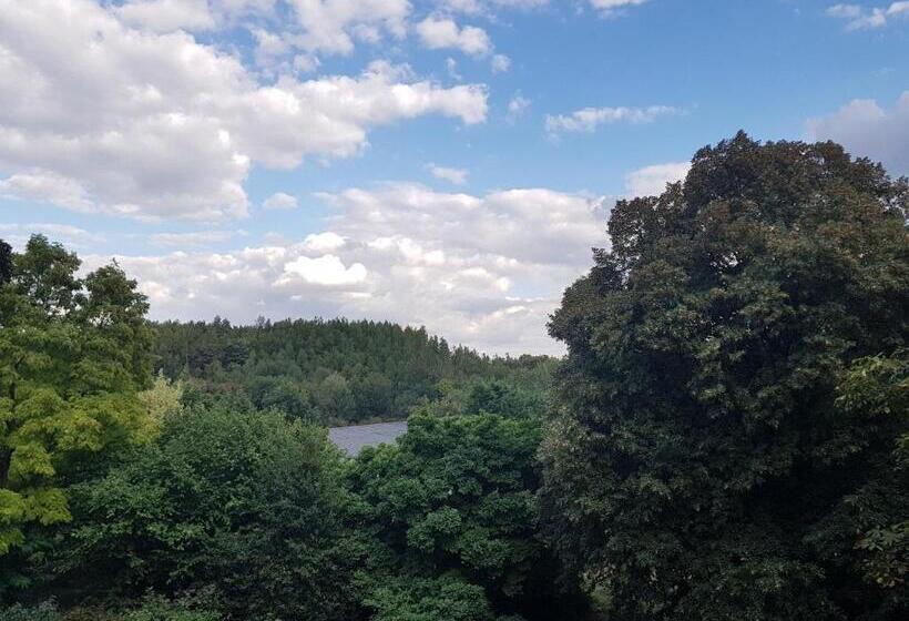 Quarto Standard Cama King, Château Lambert Moulinsart Hotel, Shuttle Airport, Long Term Parking, Snooker, Large Terrasse, Dinne