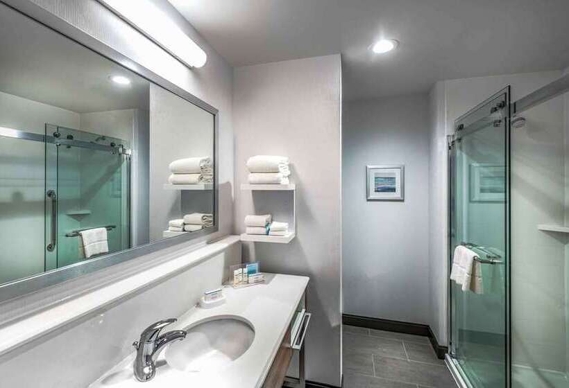 スタンダードルーム, Hampton Inn Champaign Southwest