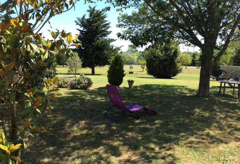 غرفة عائلية, Le Papillon De Soie