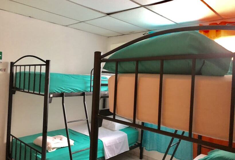 Семейный Номер, Los Panas Hostel