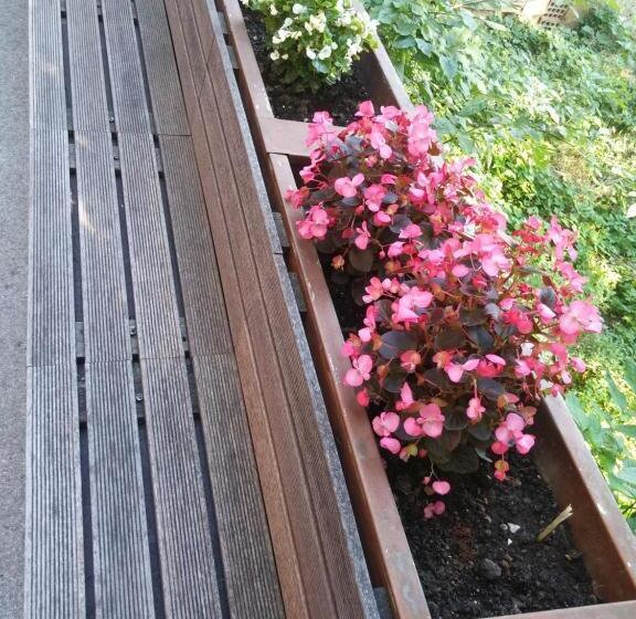 اتاق استاندارد با سرویس بهداشتی مشترک, Abaguesthouse