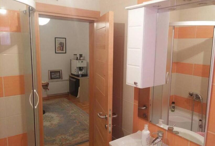 اتاق استاندارد با سرویس بهداشتی مشترک, Abaguesthouse