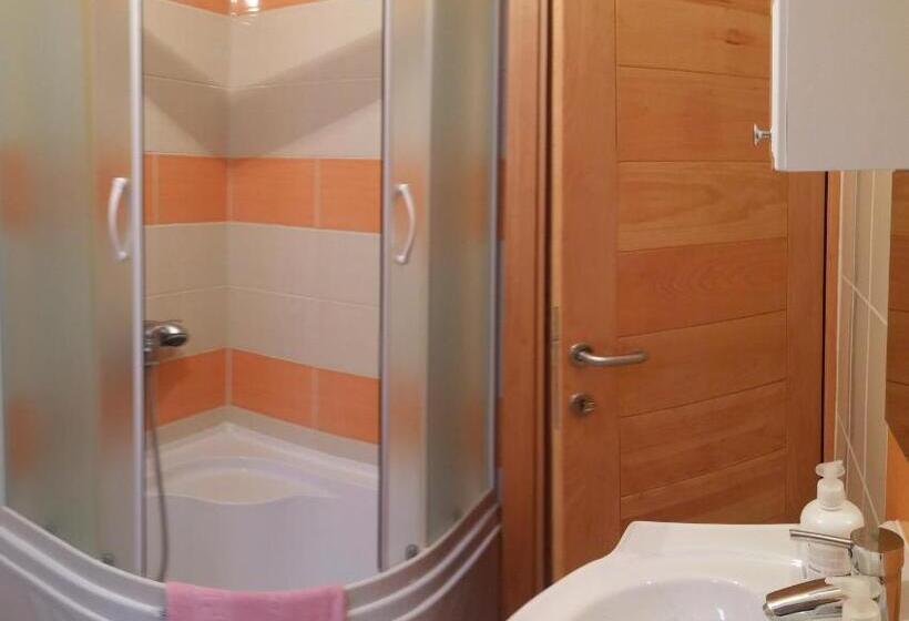 اتاق استاندارد با سرویس بهداشتی مشترک, Abaguesthouse