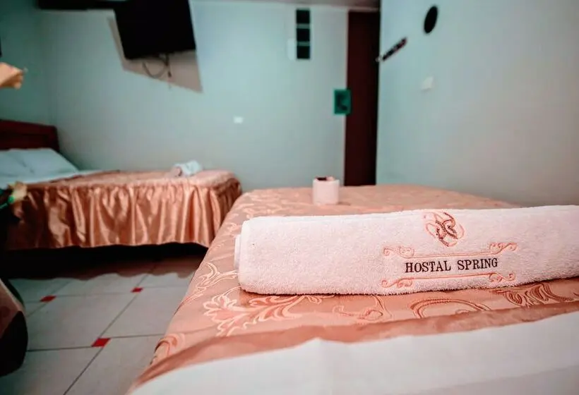 スタンダードルーム, Hostal Spring