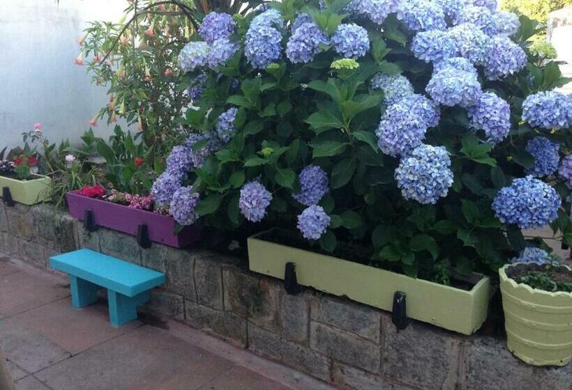 Люкс Повышенной Комфортности, Hostel Das Flores