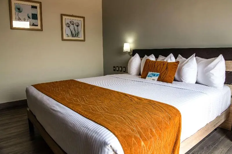 キングサイズベッドのスタンダードルーム, Comfort Inn Irapuato
