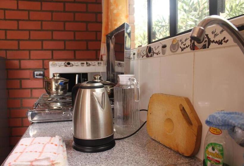 آپارتمان 1 خوابه با تراس, Casa Hospedajelos Capulies