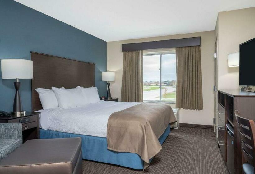 キングサイズベッドのスタンダードルーム, Americinn By Wyndham Windom