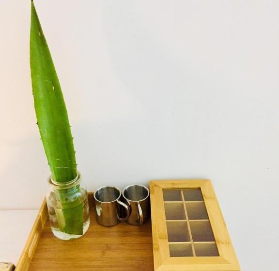 Standard bungalow with terrace, B4 Beach Club