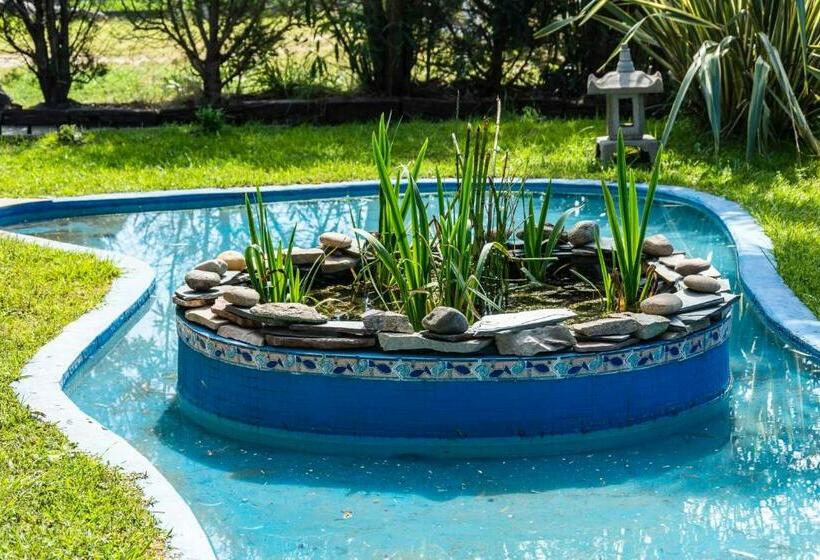 آپارتمان دوبلکس 1 خوابه, Costa Palmera