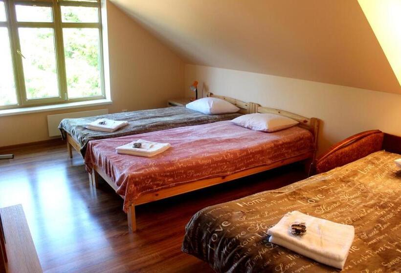 اتاق خانوادگی, Viesu Nams “bauļi”