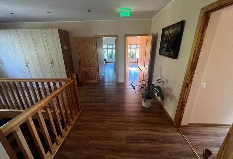 اتاق خانوادگی, Viesu Nams “bauļi”