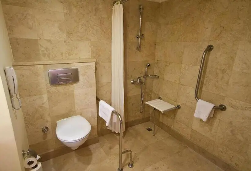 اتاق استاندارد برای معلولان, Ic Hotels Green Palace   Kids Concept