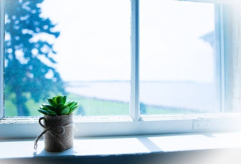 Deluxe Zimmer mit Meerblick, 1 West Inn Waterfront