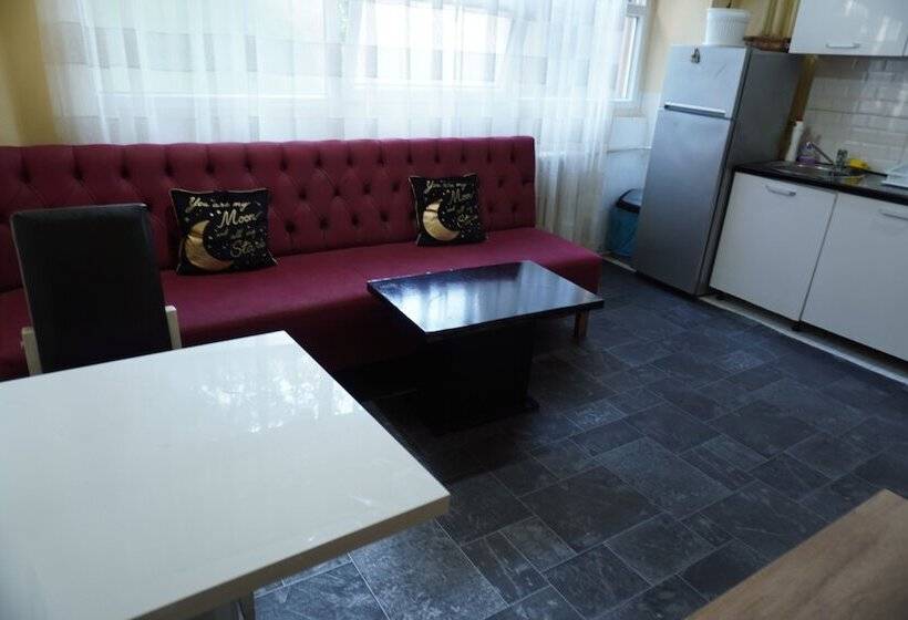 تختخواب در اتاق مشترک, Moon Hostel