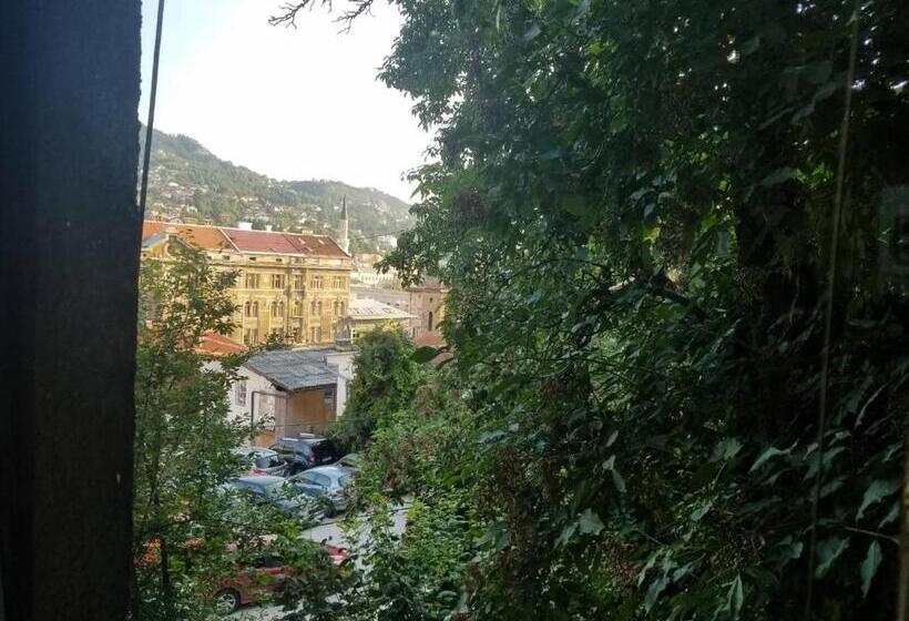 اتاق لوکس با چشم‌انداز شهر, Curovac View