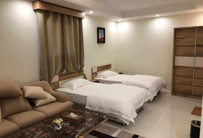 Номер Стандарт, رؤية عنيزة Vision Of Onaizah