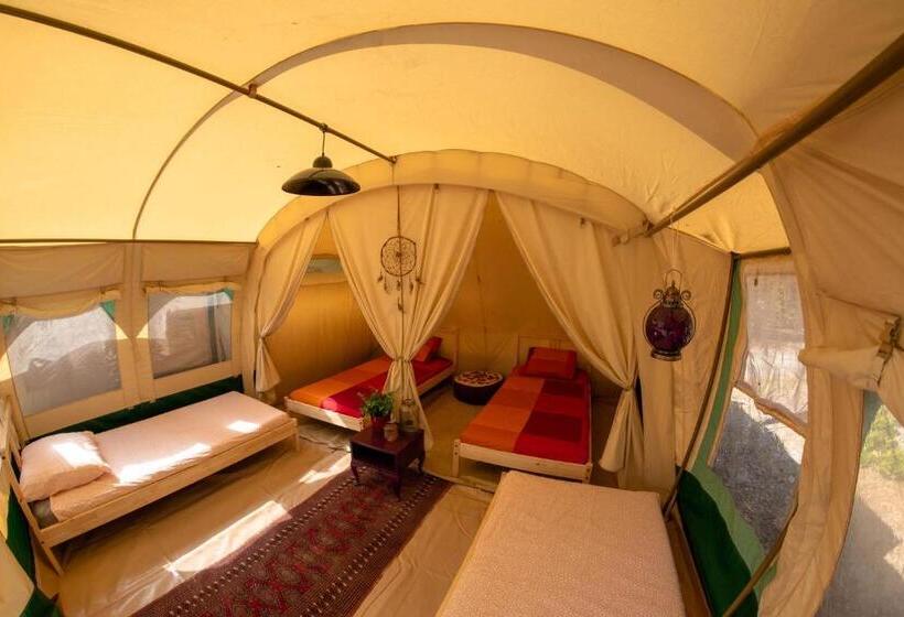 חדר סטנדרט לארבעה, Progress Outdoor Surf Hostel