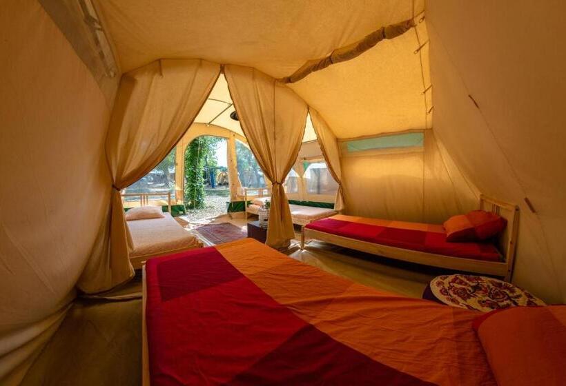 חדר סטנדרט לארבעה, Progress Outdoor Surf Hostel