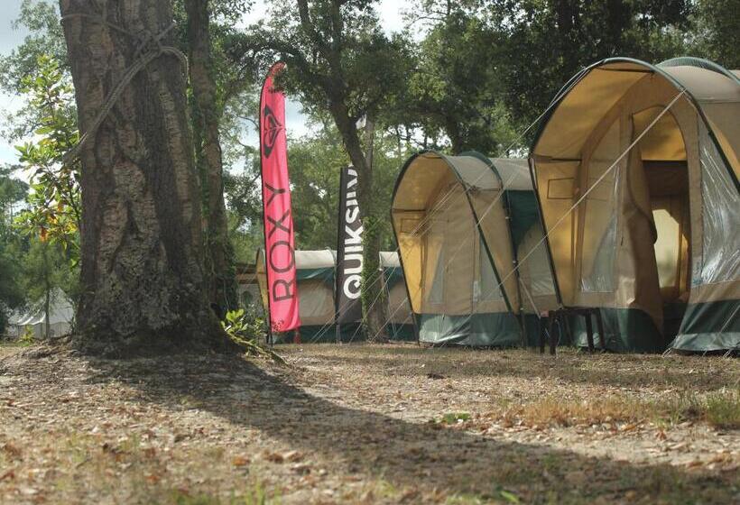 四人标准间, Progress Outdoor Surf Hostel