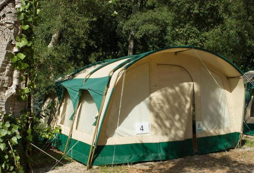 共用房间的床, Progress Outdoor Surf Hostel