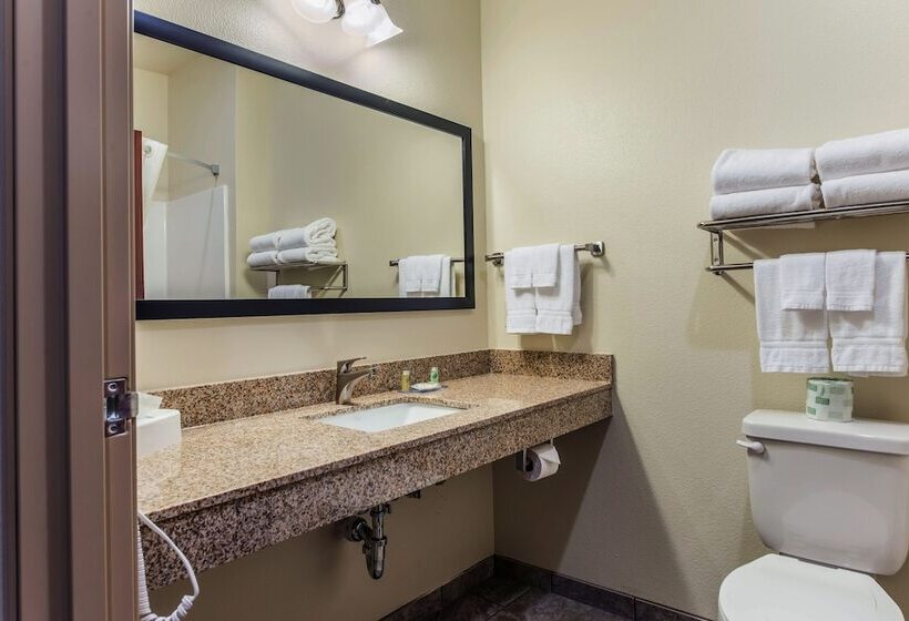 Студия Стандарт, Cobblestone Hotel & Suites   Hutchinson