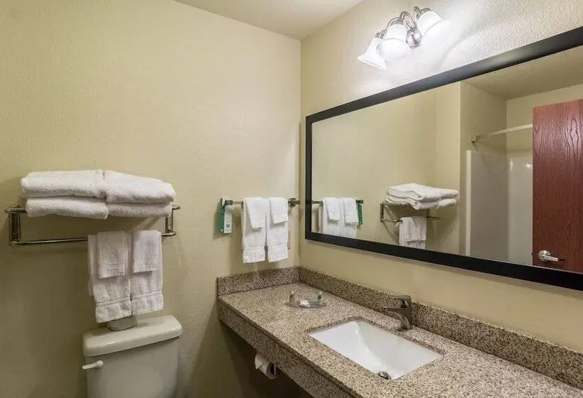 Standard-studio, Cobblestone Hotel & Suites   Hutchinson