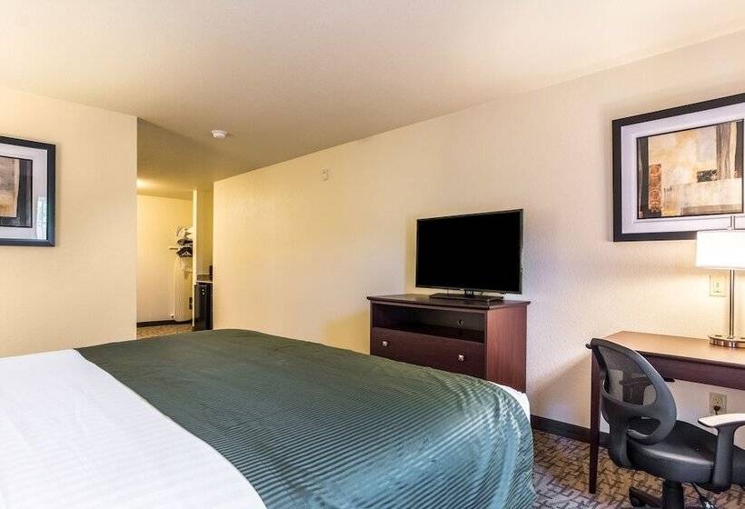 إستوديو قياسى, Cobblestone Hotel & Suites   Hutchinson