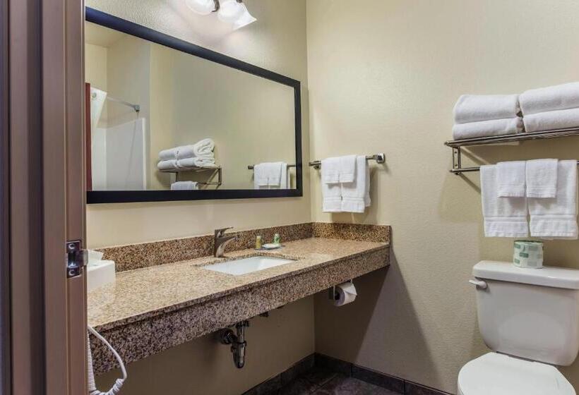 Люкс Повышенной Комфортности, Cobblestone Hotel & Suites   Hutchinson