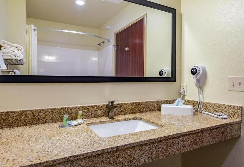 جناح ديلوكس, Cobblestone Hotel & Suites   Hutchinson