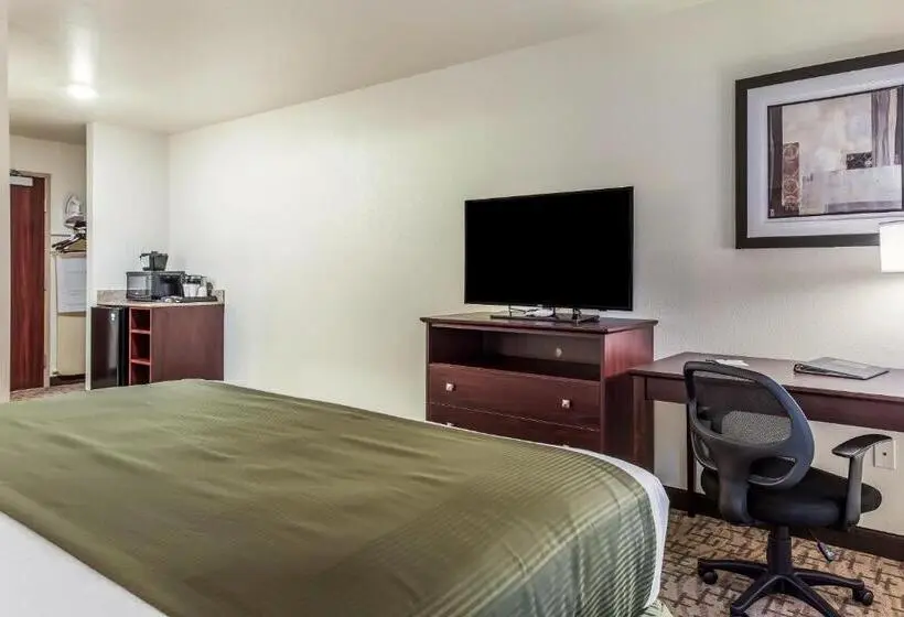 Standard-invahuone King-vuode, Cobblestone Hotel & Suites   Hutchinson