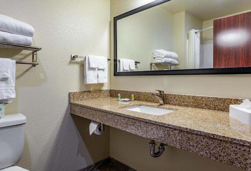 إستوديو قياسى سرير كينج, Cobblestone Hotel & Suites   Hutchinson