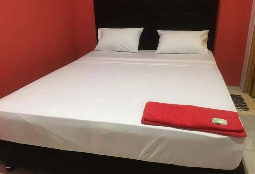Standardrum, Coconut Hotel Hostel