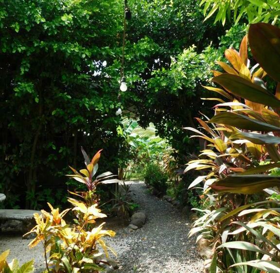 スタンダードスタジオ, Chill Inn Nosara