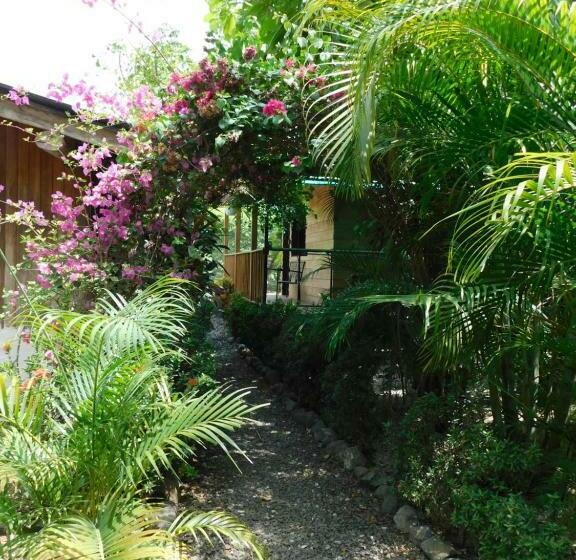 スタンダードスタジオ, Chill Inn Nosara