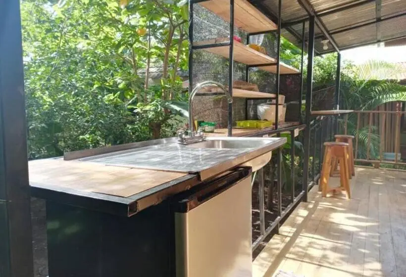 استودیوی استاندارد, Chill Inn Nosara