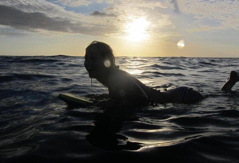 スタンダードスタジオ, Chill Inn Nosara