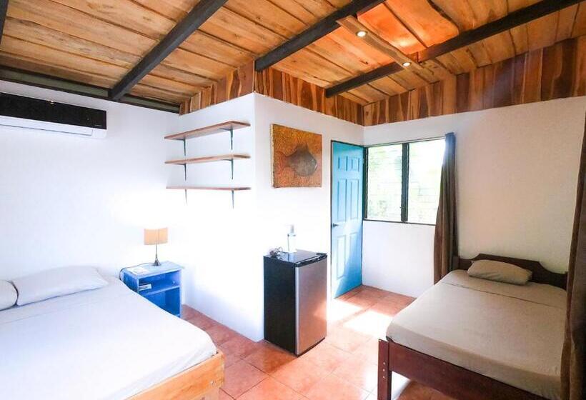 Студия Стандарт, Chill Inn Nosara