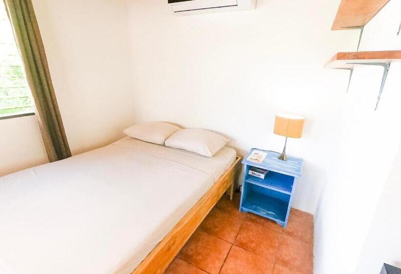 スタンダードスタジオ, Chill Inn Nosara