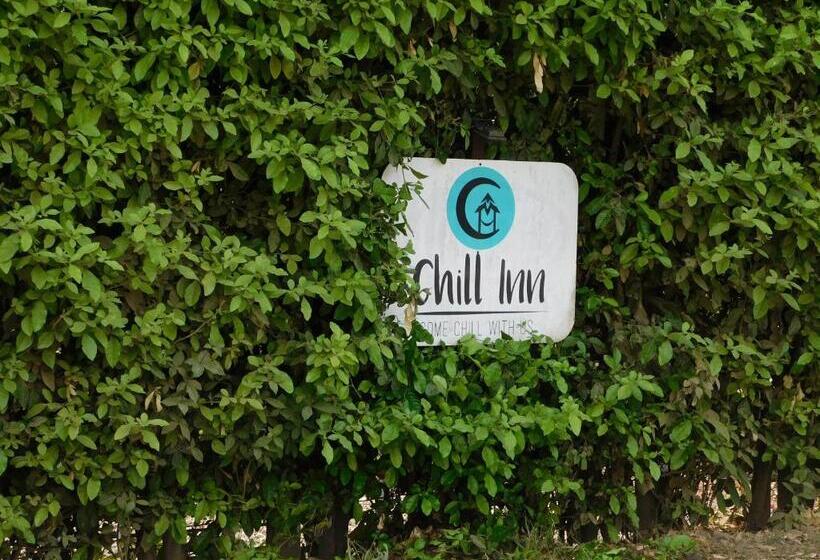 スタンダードスタジオ, Chill Inn Nosara