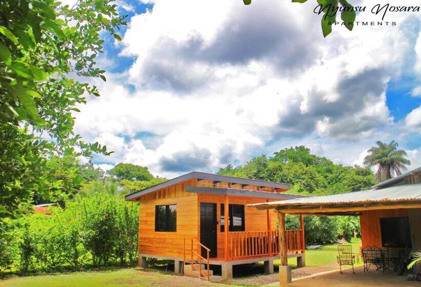 スタンダードスタジオ, Chill Inn Nosara