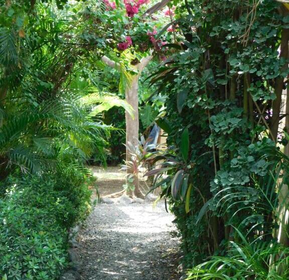 ２ベッドルームアパートメント, Chill Inn Nosara