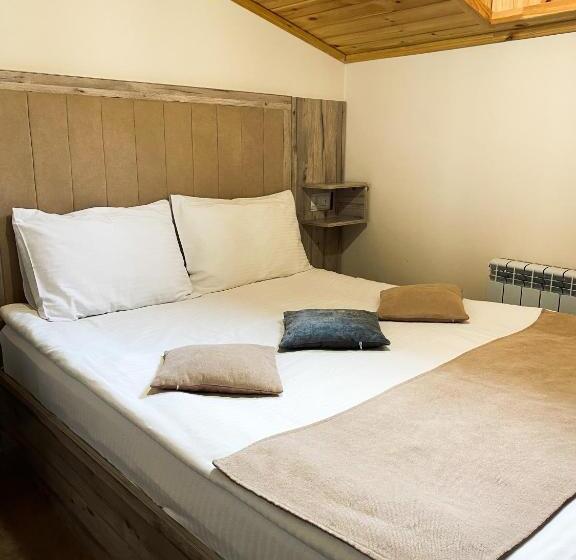 StandaardKamer, Alex