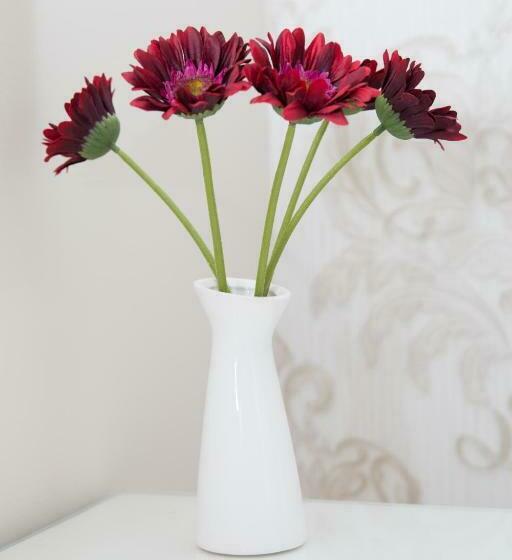 标准间, Casa Alexandra