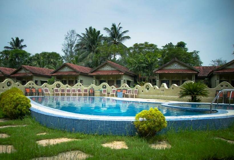 家庭间, Breathing Earth   Rooms And Pool