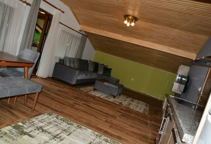 带1个卧室的带阳台的公寓, Etap Uzungöl Suite