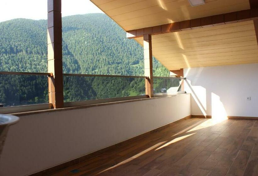 带1个卧室的带阳台的公寓, Etap Uzungöl Suite