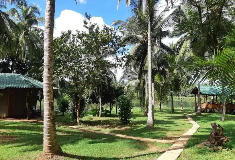 Deluxe-huone, Yonan River Face Safari Resort