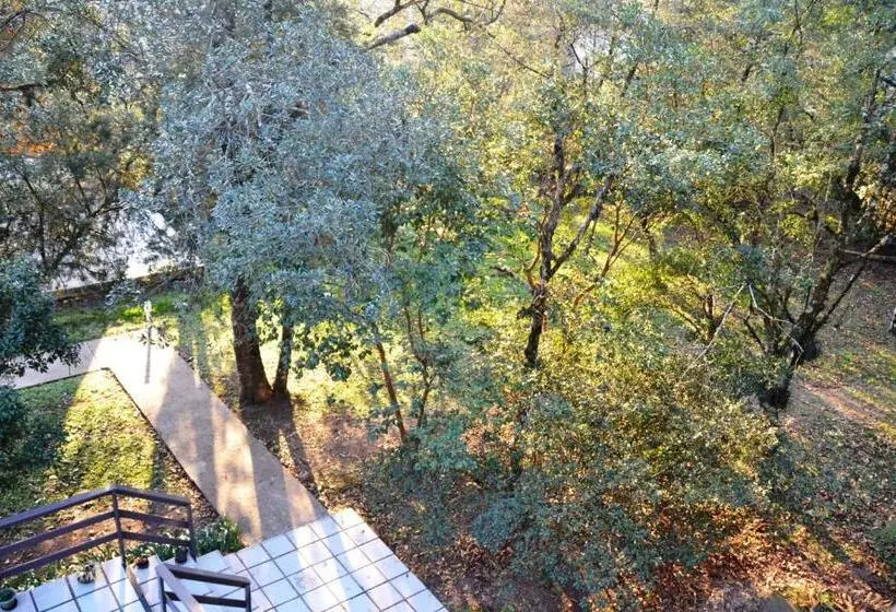 آپارتمان 1 خوابه با بالکن, Pousada Dos Pinheiros